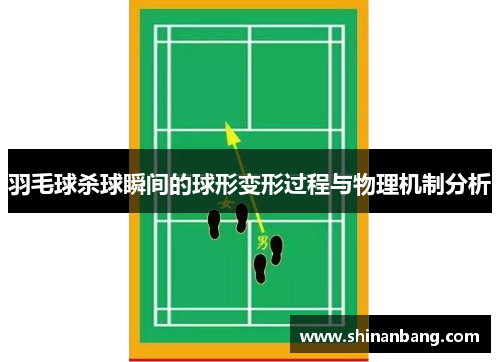 羽毛球杀球瞬间的球形变形过程与物理机制分析
