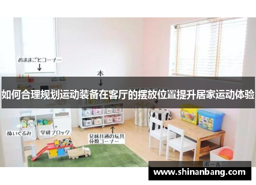如何合理规划运动装备在客厅的摆放位置提升居家运动体验