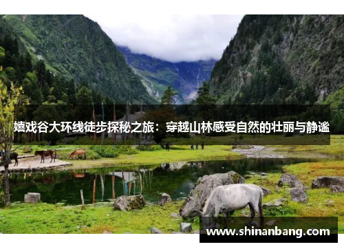 嬉戏谷大环线徒步探秘之旅：穿越山林感受自然的壮丽与静谧