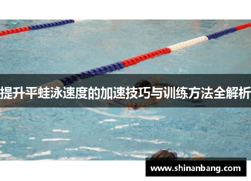 提升平蛙泳速度的加速技巧与训练方法全解析
