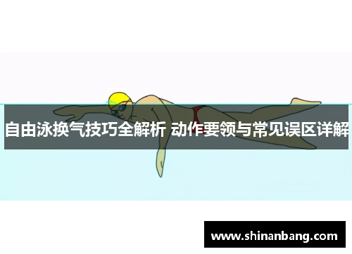 自由泳换气技巧全解析 动作要领与常见误区详解
