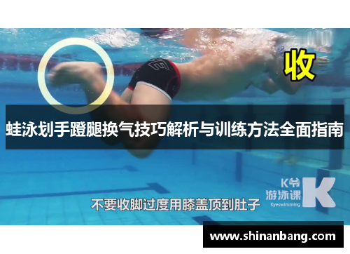 蛙泳划手蹬腿换气技巧解析与训练方法全面指南