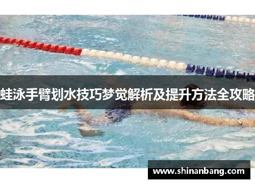蛙泳手臂划水技巧梦觉解析及提升方法全攻略
