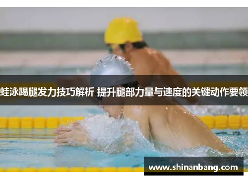 蛙泳踢腿发力技巧解析 提升腿部力量与速度的关键动作要领