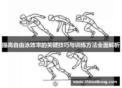 提高自由泳效率的关键技巧与训练方法全面解析